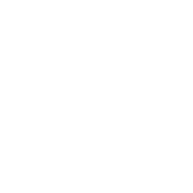 Solaris Development Group