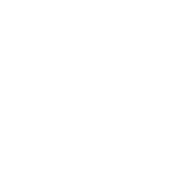 Windborne Studios